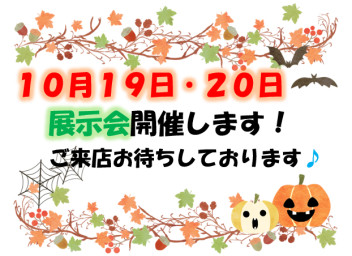 明日、明後日展示会開催致します！！