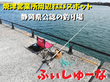 【周辺ｵｽｽﾒスポット】静岡県公認の釣り場！ふぃしゅーな！！
