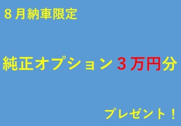 純正オプション３万円分プレゼントキャンペーン