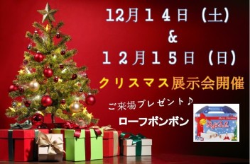 １２月１４日と１５日はクリスマス展示会♪