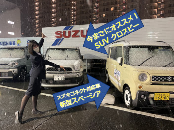スズキの日！！大決算も！！