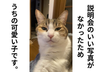 会社説明会どんどん開催しております◎