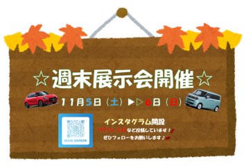 週末展示会開催★