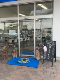 夏季限定！