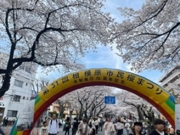 相模原市桜まつりパレードに参加しました！