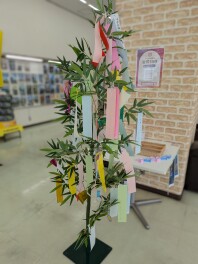 ☆七夕イベント開催中☆彡