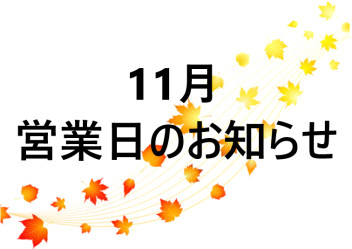 １１月！！！！！！！！！！！