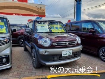 今週は秋の大試乗会！