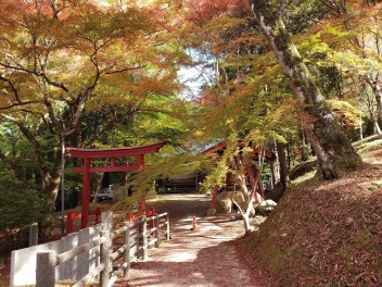 稲荷山公園の紅葉