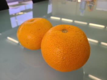 新年度☆４月もよろしくお願いします