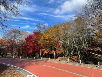 クルマを使っての紅葉サイクリング