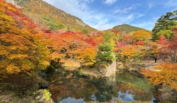 紅葉シーズン到来！！