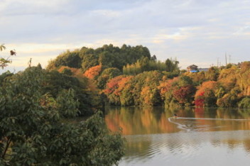 行楽シーズン！富津の紅葉スポット