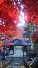 秋の彩り　清水寺（長野市若穂）