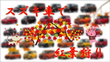 紅葉の季節ですね♪