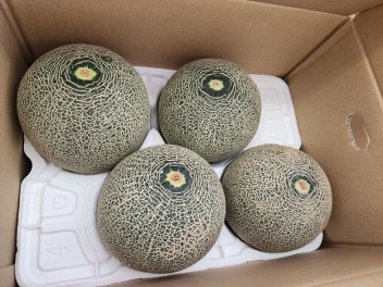 肩メロン？！