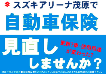 自動車保険診断 実施中！！