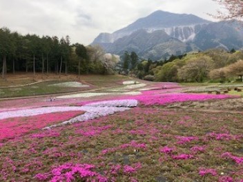 これからの見どころ！！