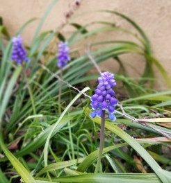 ４月です
