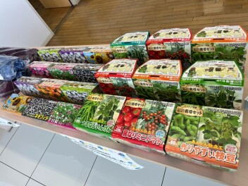 SUV祭り開催☆