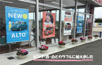 八女日記　「花壇の植え替えしました(^^)/赤白ピンクとてもキレイです」
