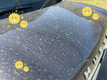 花粉と黄砂の車への悪影響