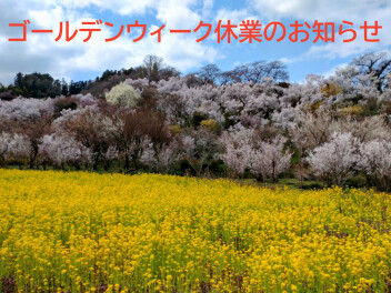 ゴールデンウィーク休業のお知らせ