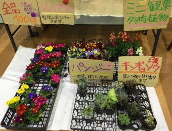 八女日記　「フラワーイベント！ご協力をお願いいたします」