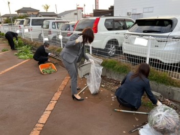 雑草すんごいです！！