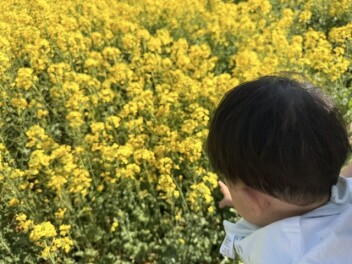 本格的な夏スタート！