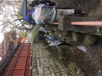 津島神社の東の堀に「蛍の幼虫」を放流