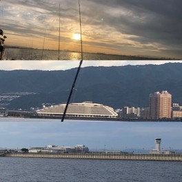 今年初タコ釣り