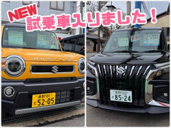 新しい試乗車入りました！