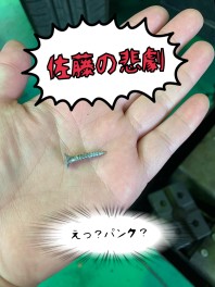 ★☆人生２度目の…☆★