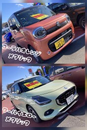 春色の試乗車はいかがですか？