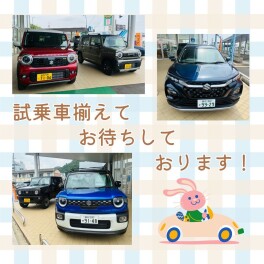 試乗車揃えてお待ちしてます！