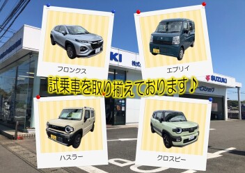 試乗車たくさん！