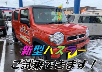 新型ハスラー試乗できます！！！！