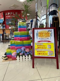 車検・見積もりをして頂いた方に嬉しい特典！！