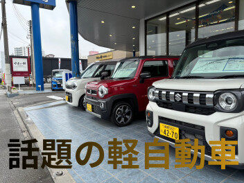 今週末はスズキアリーナ北谷へGO！！！