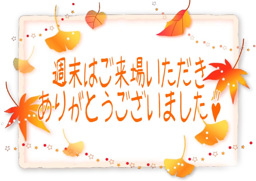 11/30、12/1はスズキの日★☆