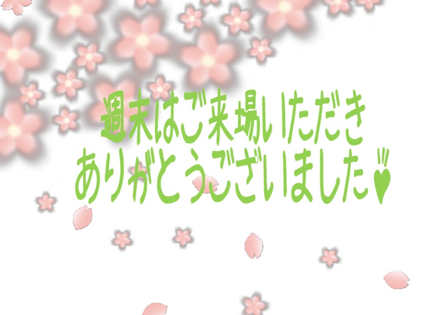 ご来店ありがとうございました！＆新年度の大商談会開催のお知らせ