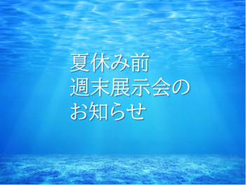 夏休み前～週末展示会やります！