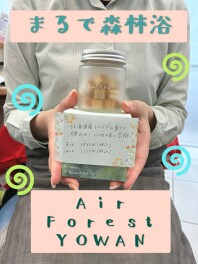 車内がまるで森林浴！話題の「Air Forest YOWAN」をご紹介！！