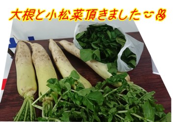 お客様から)^o^(