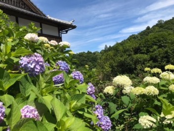 久しぶりのお出掛け　～　楊谷寺編　～