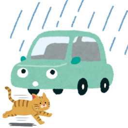 ”雨宿り猫ちゃん”に気を付けましょうね(=^・・^=)