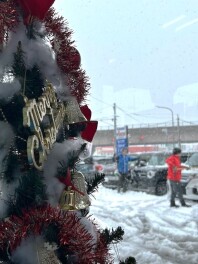 本格的な冬になってきたようです⛄