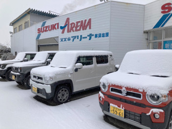 雪が降っております