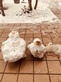 雪がどかっと
